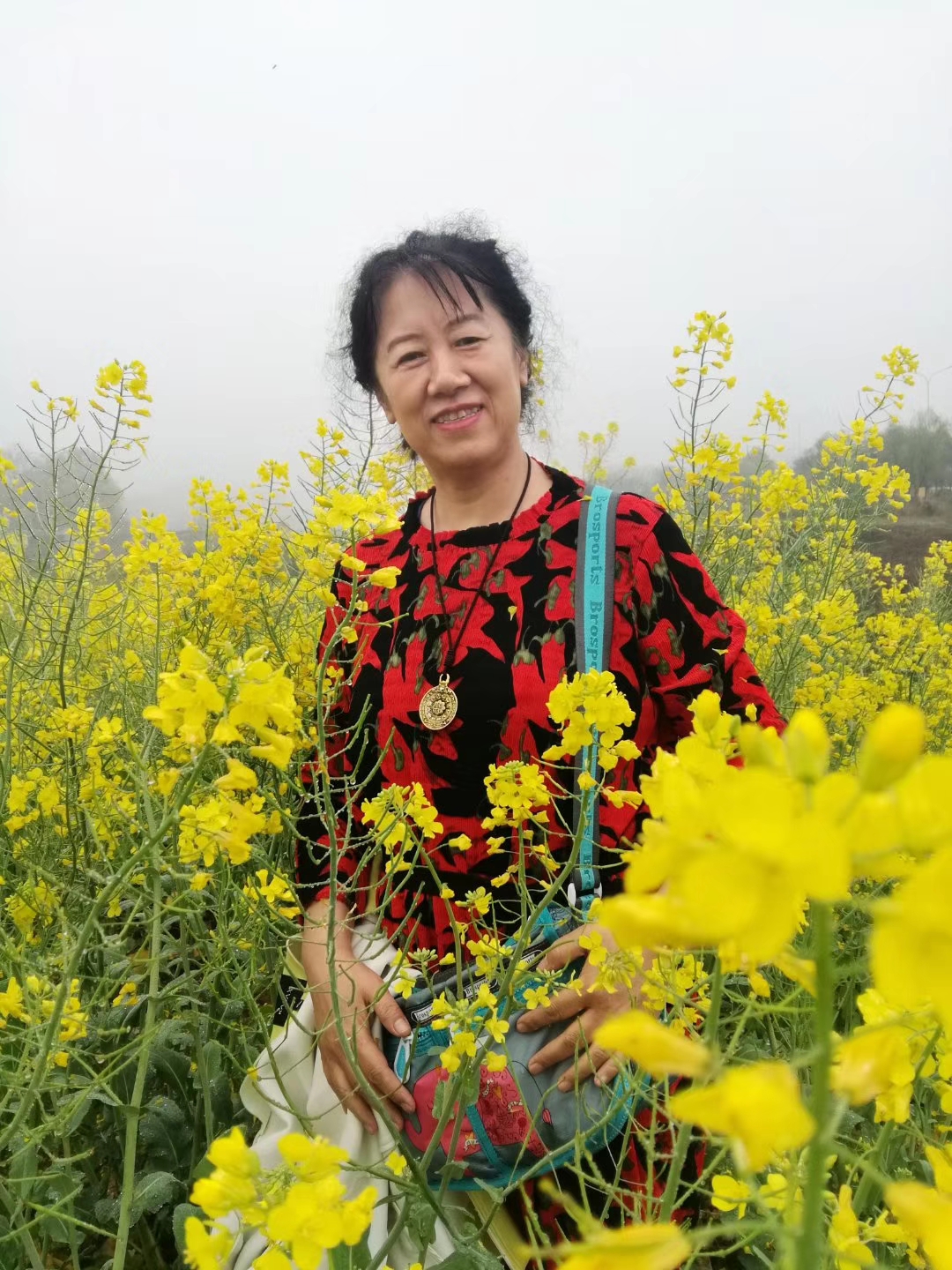 傅清萍（原名付清萍）